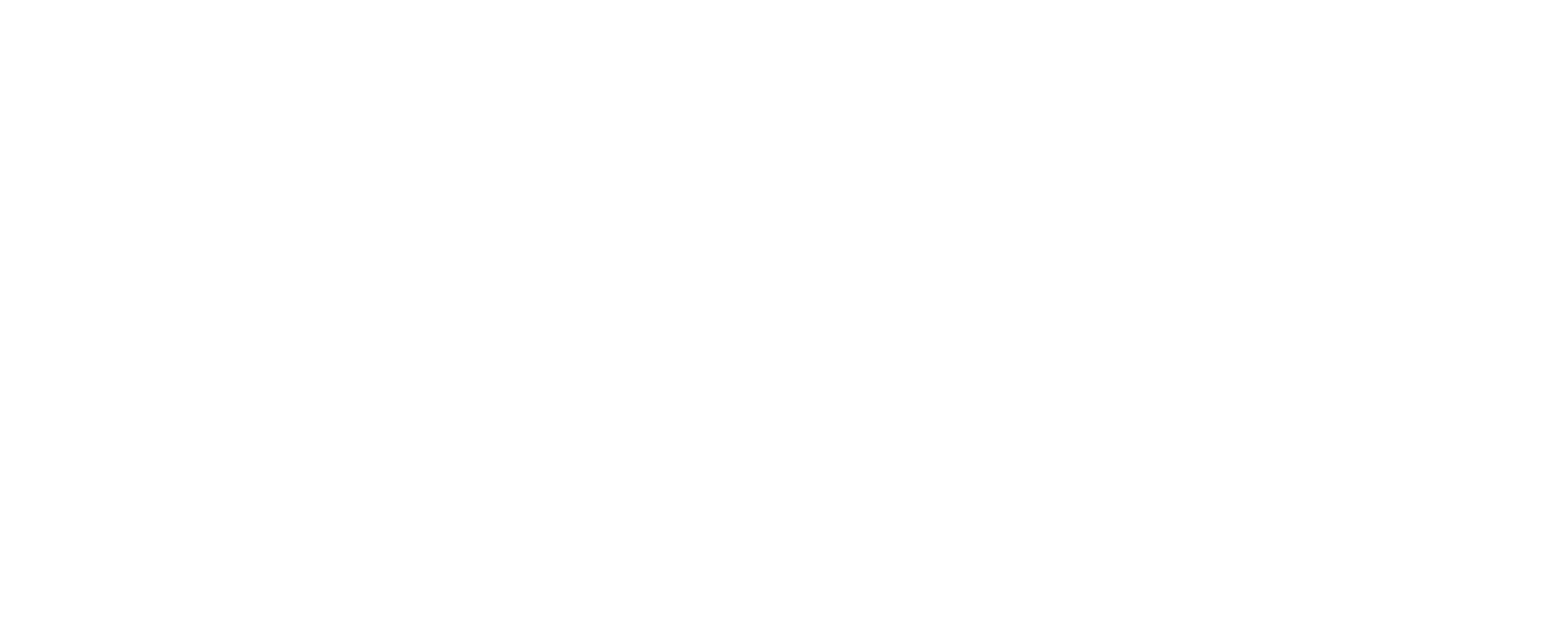 Word CUSTOM SOLUTIONS in light gray with white outline