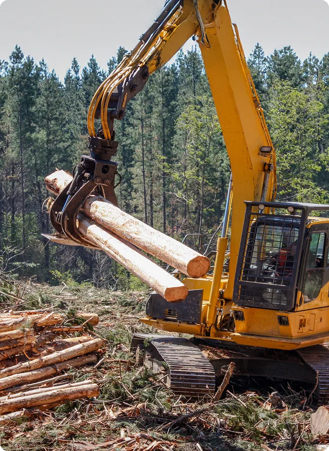 Forestry Equipment - Log Loader Picking Up Logs