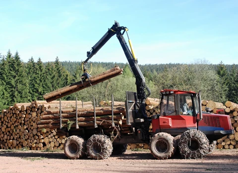 Forestry logging truck loading in cut down logs