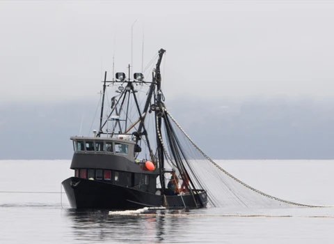Marine boat out in open waters